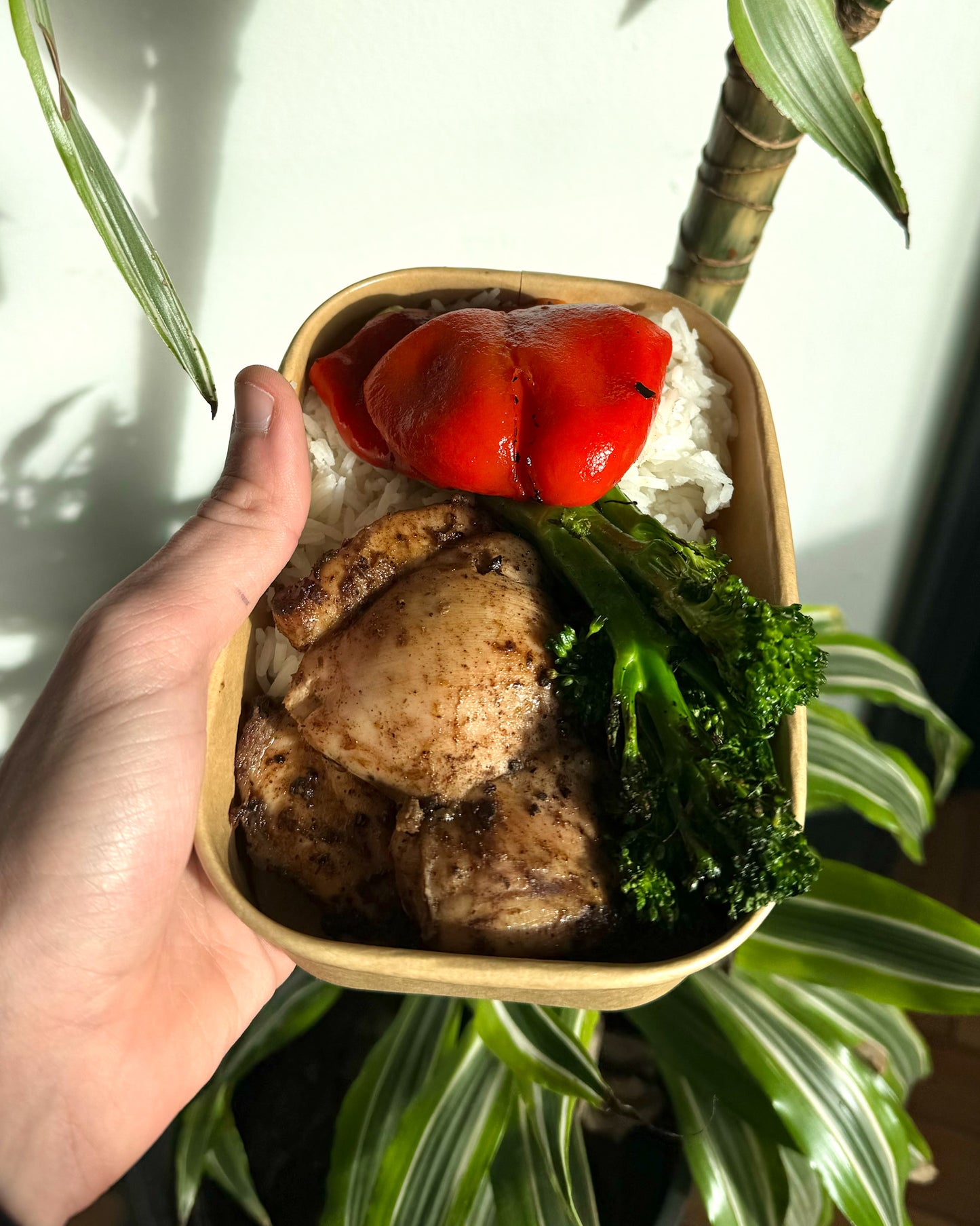 15 Meals (1 Week)